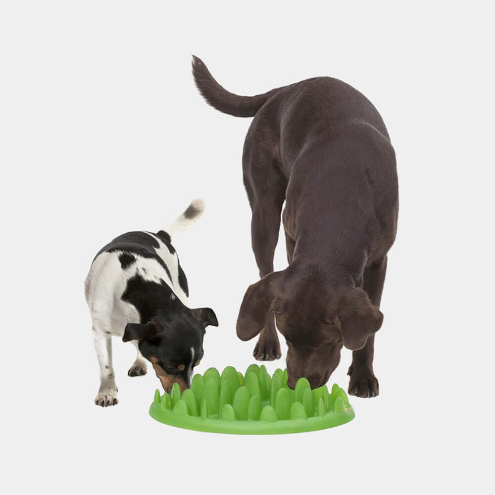 Applaws Cat Food